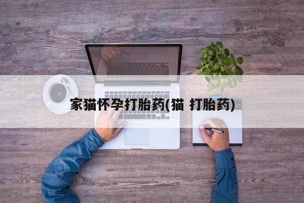 哪里有堕胎药微信家猫怀孕打胎药(猫 打胎药)